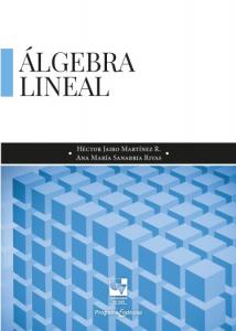 Carátula libro: Álgebra lineal