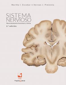 Caratula Libro Sistema Nervioso Neuroantomía Funcional y Clínica