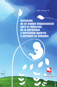 Carátula libro  Aplicación de un modelo biopsicosocial para la reducción de la morbilidad y la mortalidad materna y perinatal en Colombia