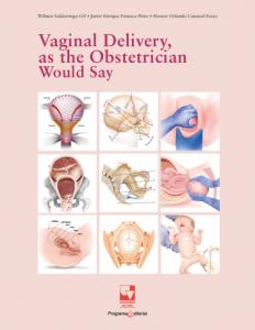 Carátula libro: Vaginal Delivery, as the Obstetrician Would Say