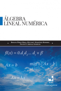 Caratula de libro: Álgebra lineal numérica